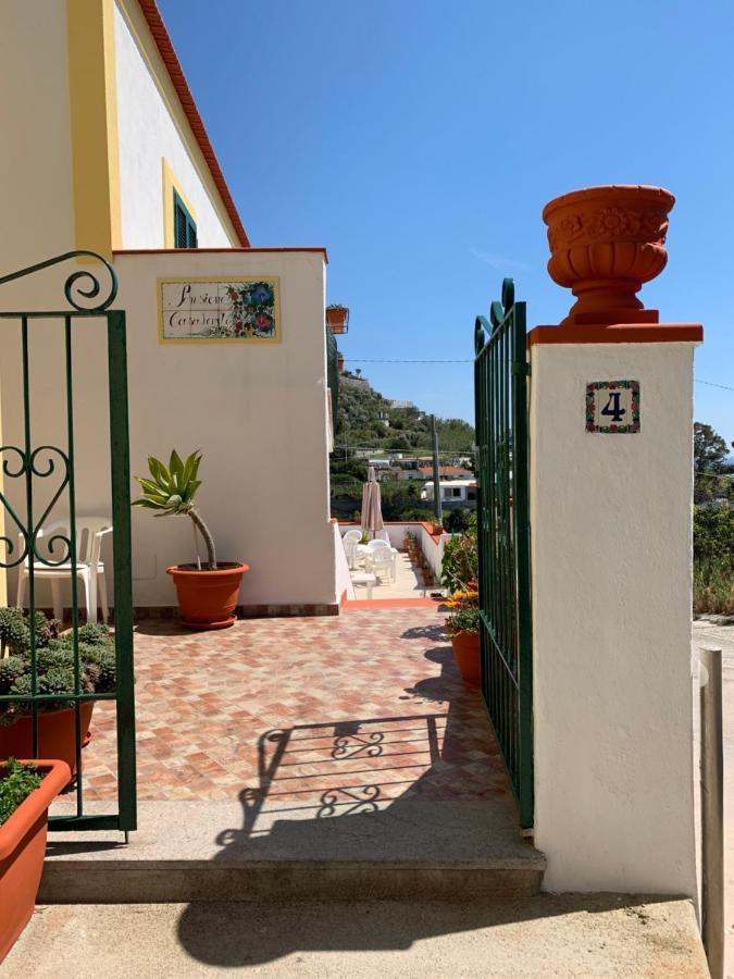 Pensione Casa Verde Sant'Angelo  エクステリア 写真